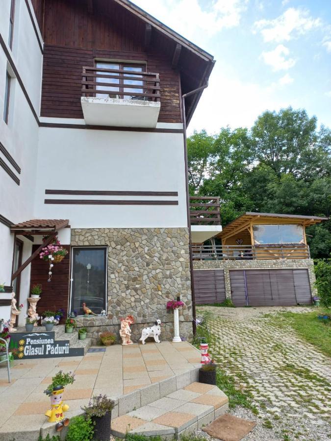 Pensiunea Glasul Padurii Moieciu de Jos Exterior photo