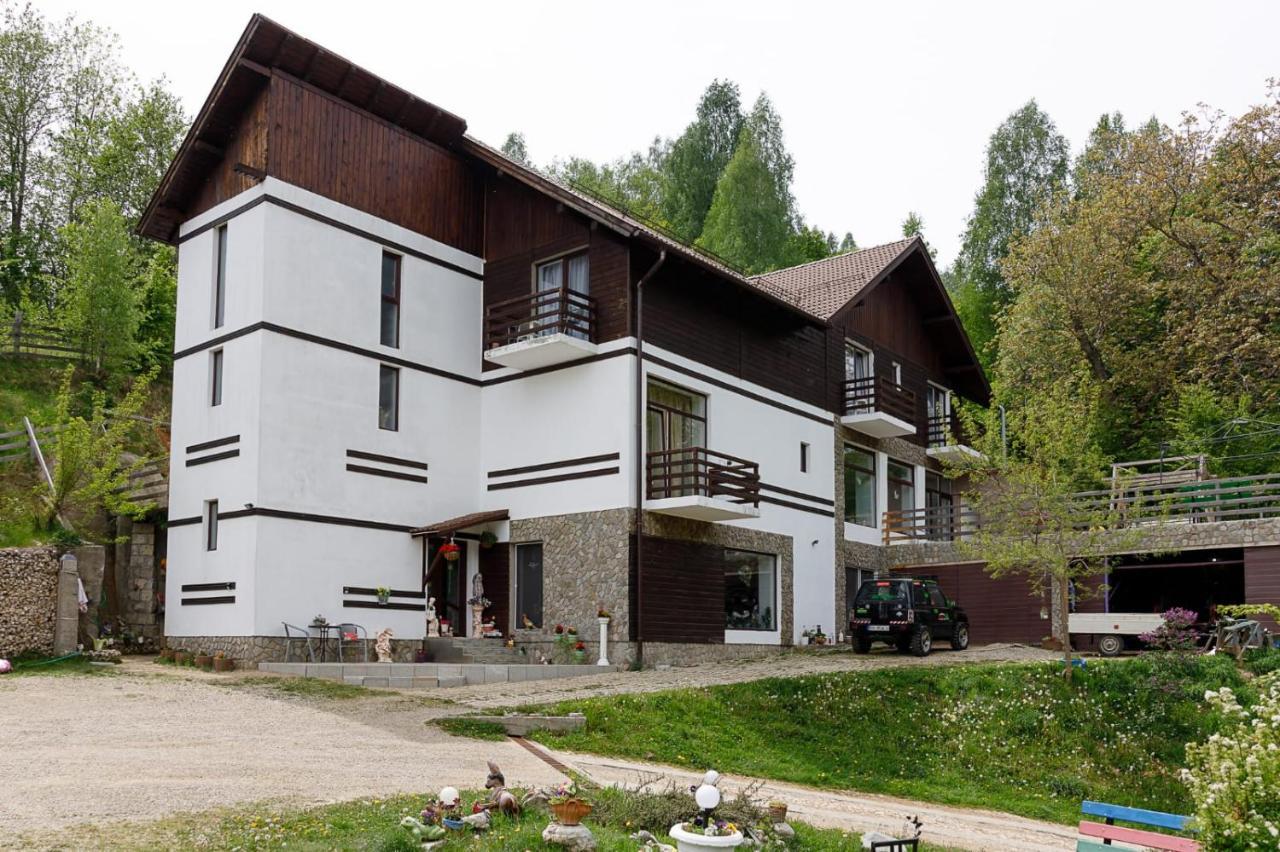 Pensiunea Glasul Padurii Moieciu de Jos Exterior photo