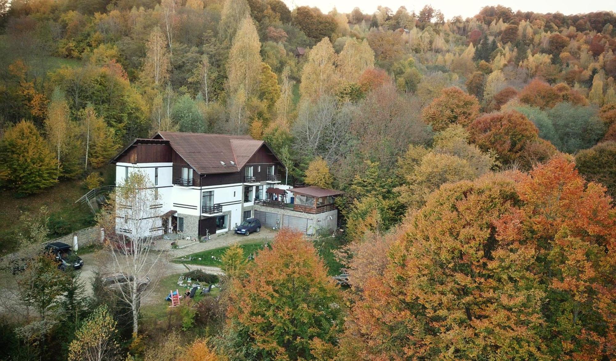 Pensiunea Glasul Padurii Moieciu de Jos Exterior photo